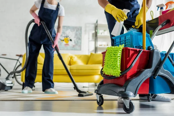 Pet Stain & Odor Removal
