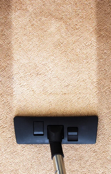 Area Rug Cleaning
