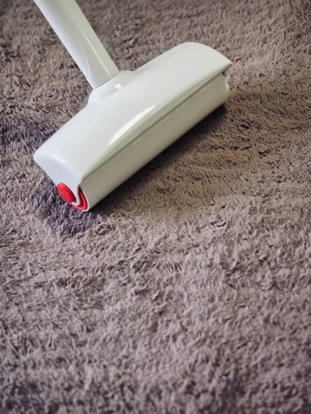 Premium Carpet Cleaning Service